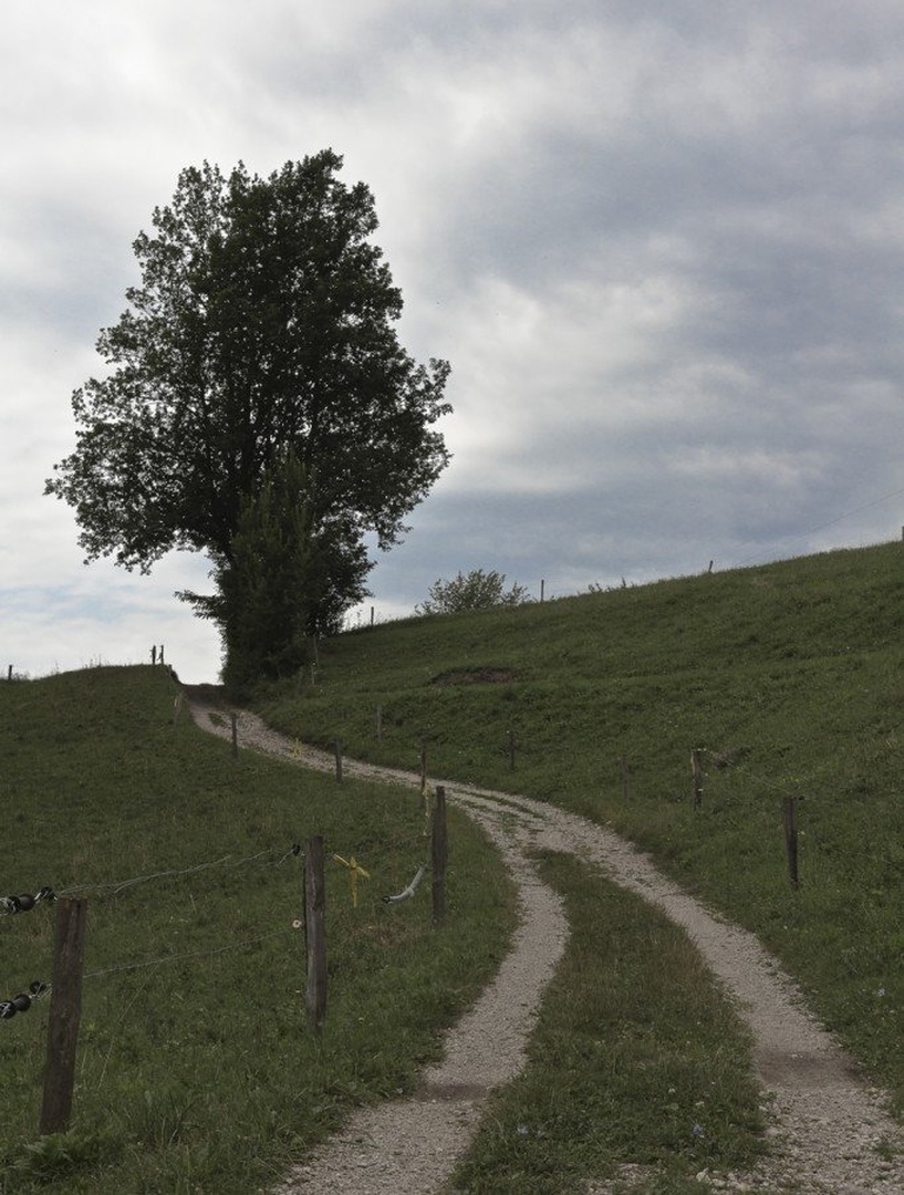 path by Tibor Pirnat