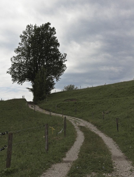 path by Tibor Pirnat