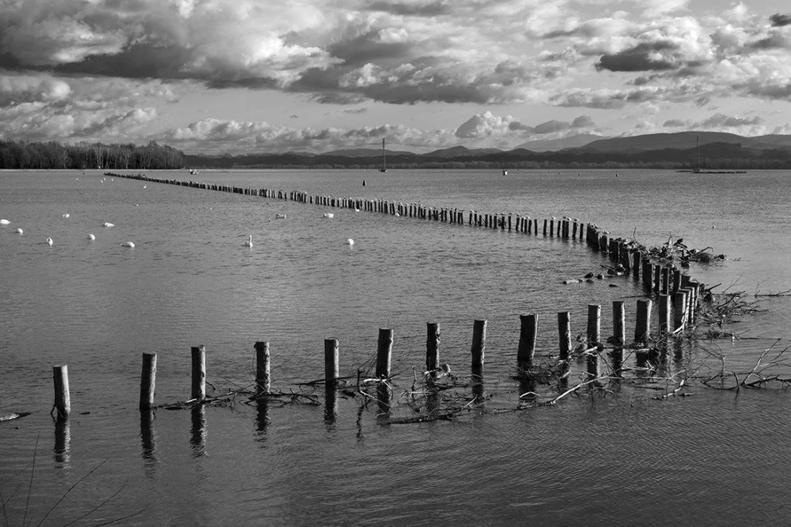 ptujsko jezero by Tibor Pirnat