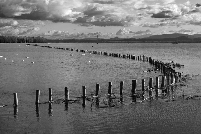 ptujsko jezero by Tibor Pirnat