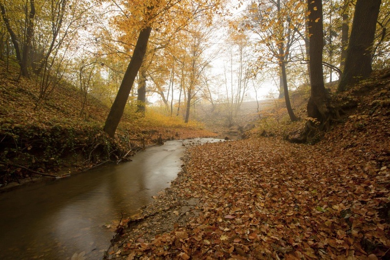 autumn creek by Tibor Pirnat