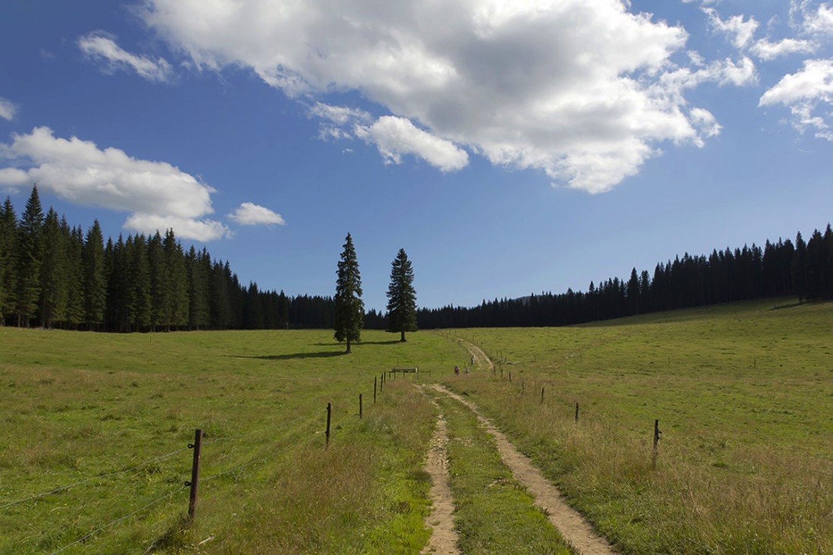 pkljuka by Tibor Pirnat