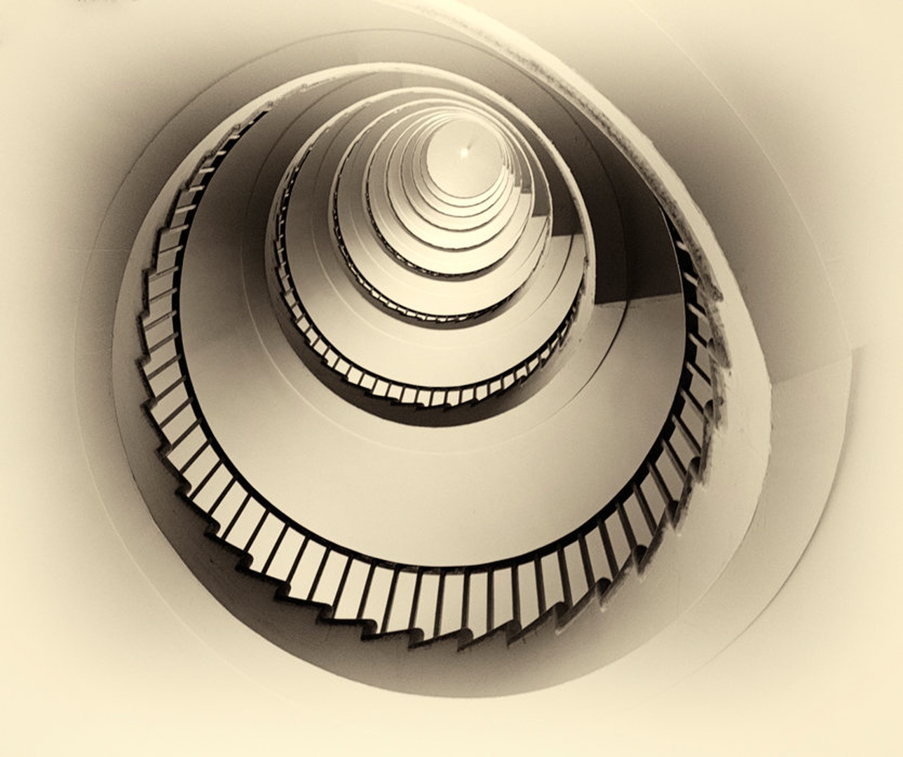 Spirala by Blaž Poljanšek