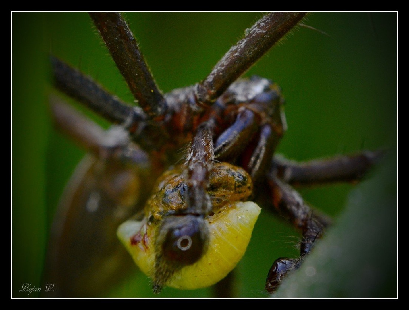 zaloga 2 by