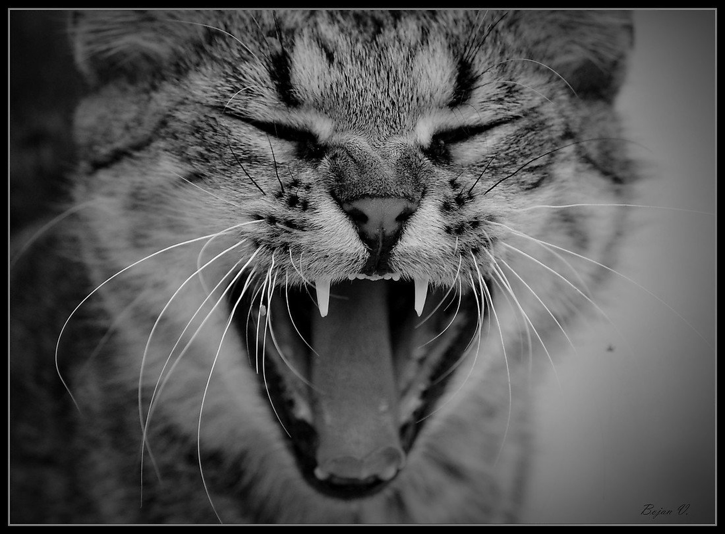 zeh.. by