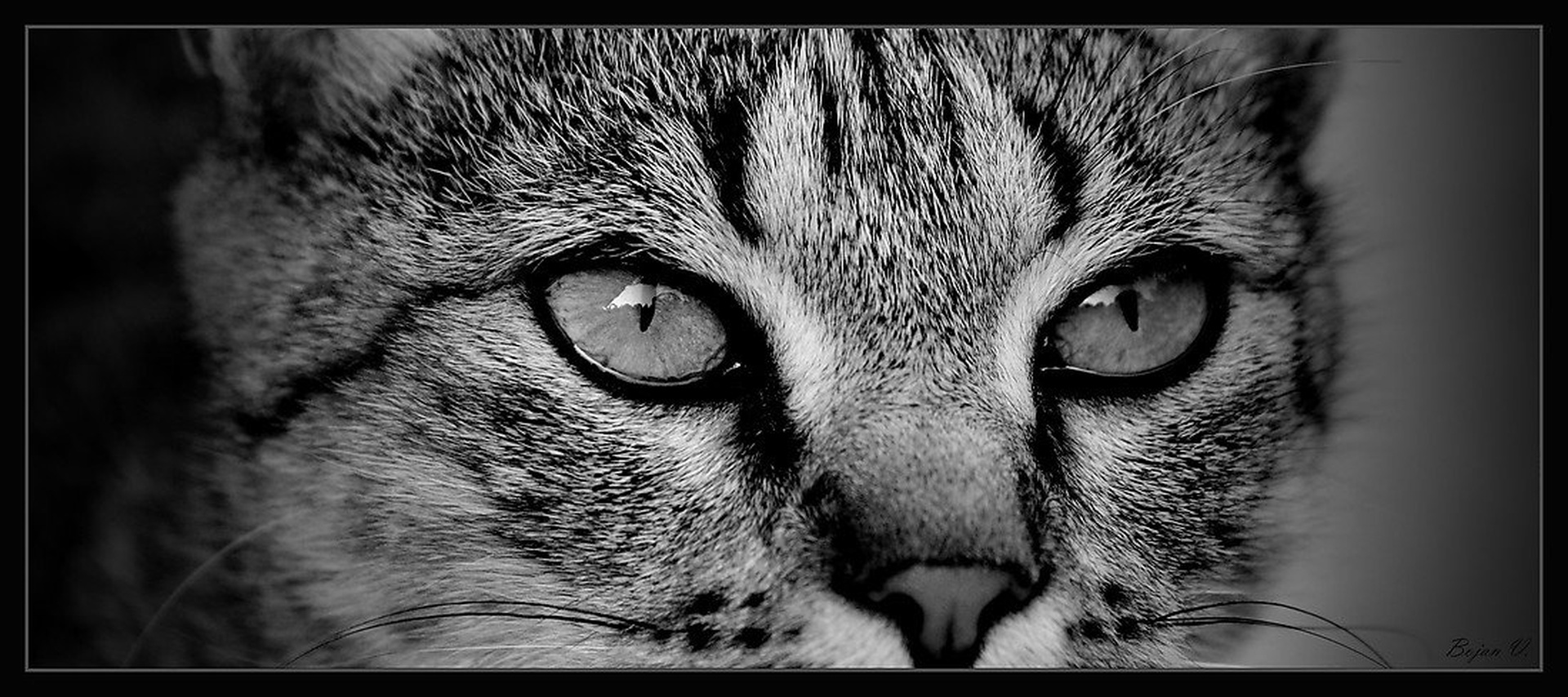 focus... by