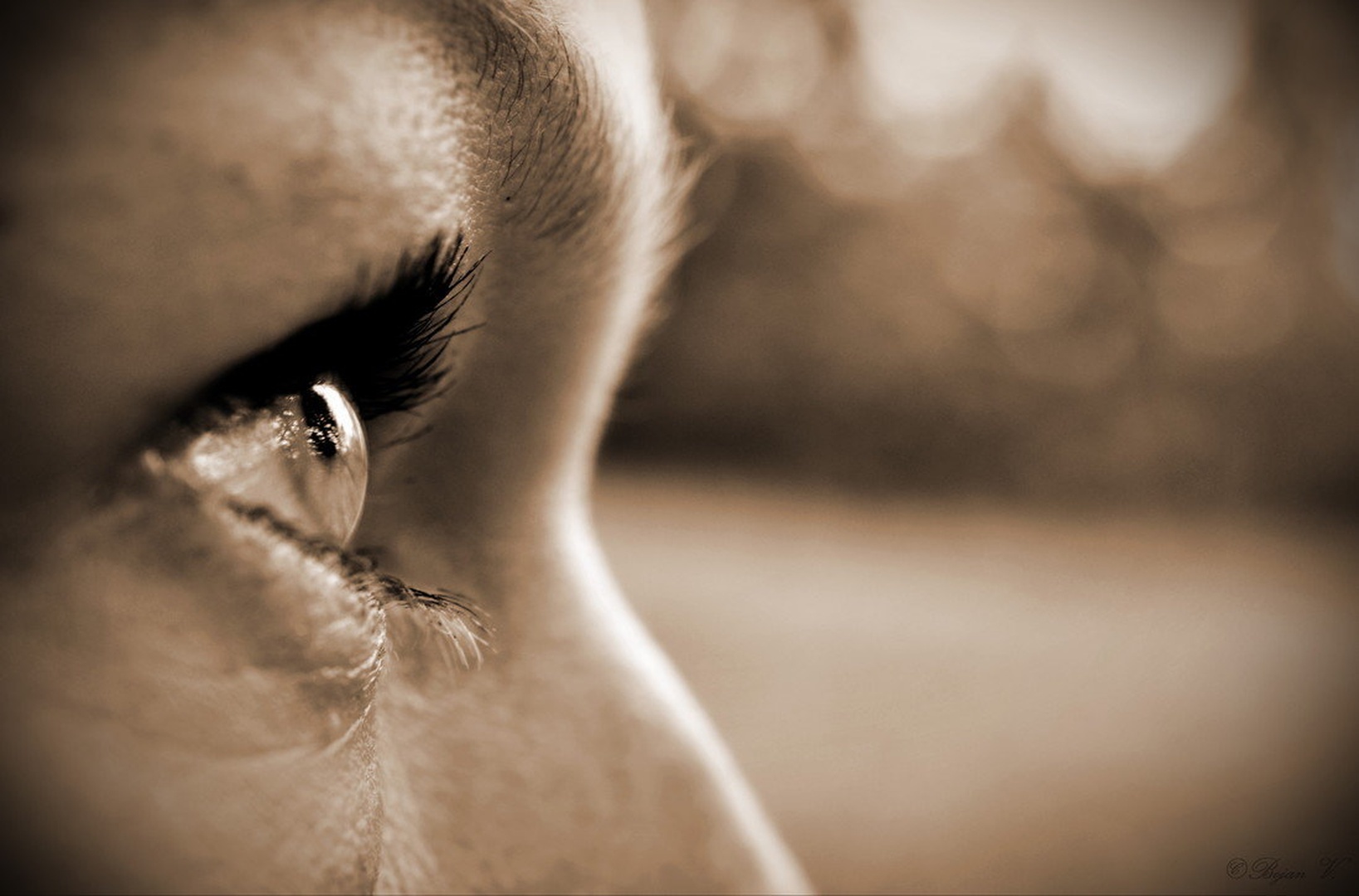 eye by