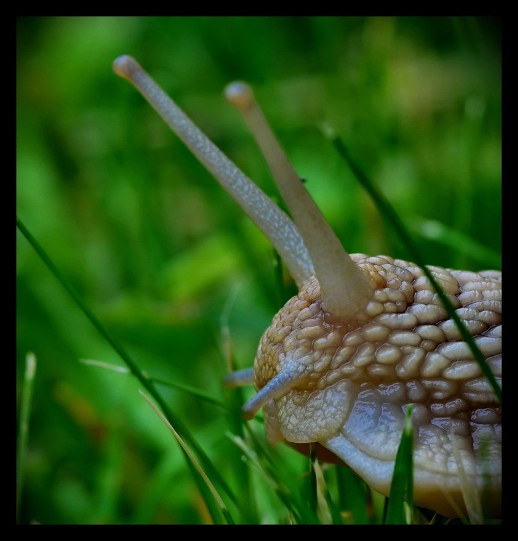 slow motion by