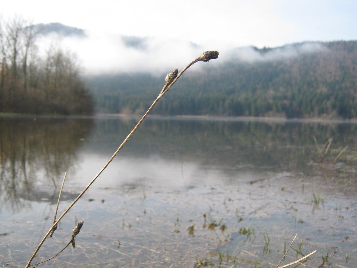 Cerkniško jezero by Robert Lampe