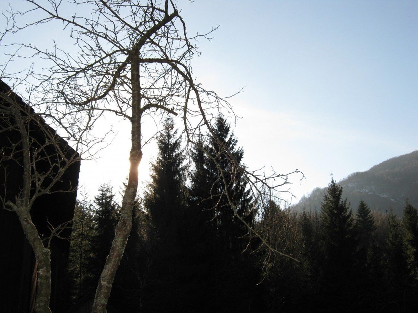 Skrito sonce by Robert Lampe