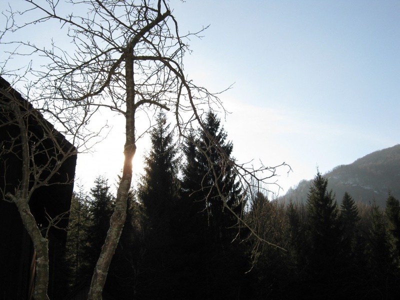 Skrito sonce by Robert Lampe