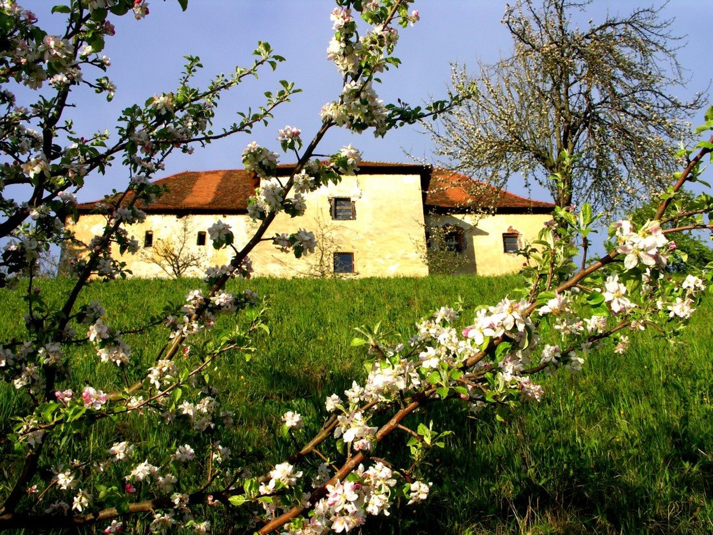 pogled na grad by Jože Kandolf