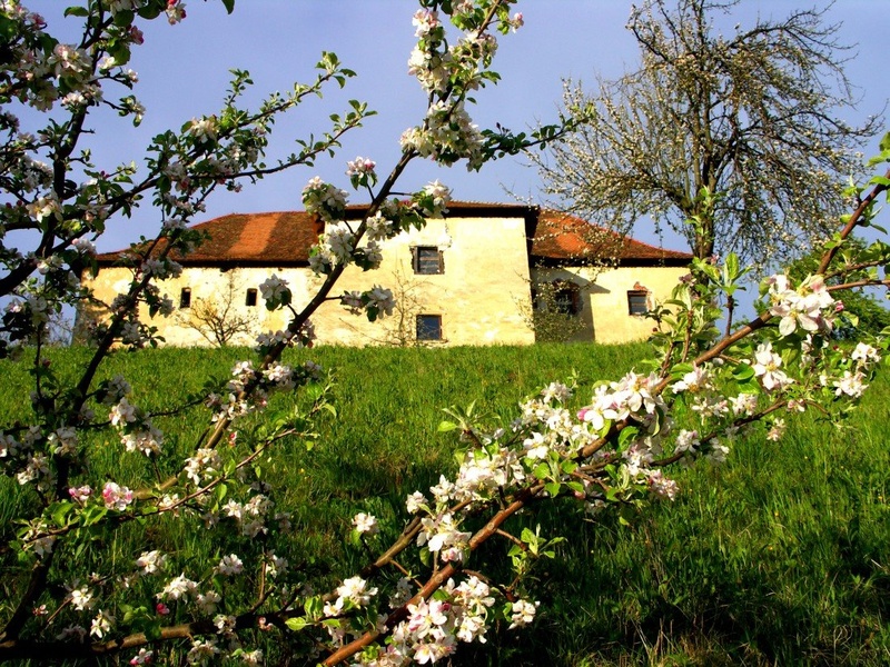 pogled na grad by Jože Kandolf