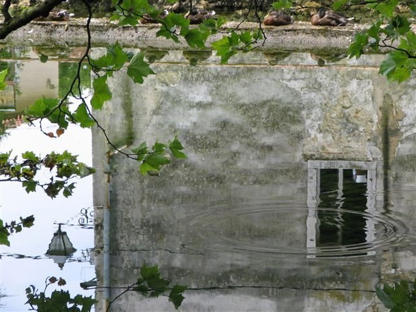 vipava by