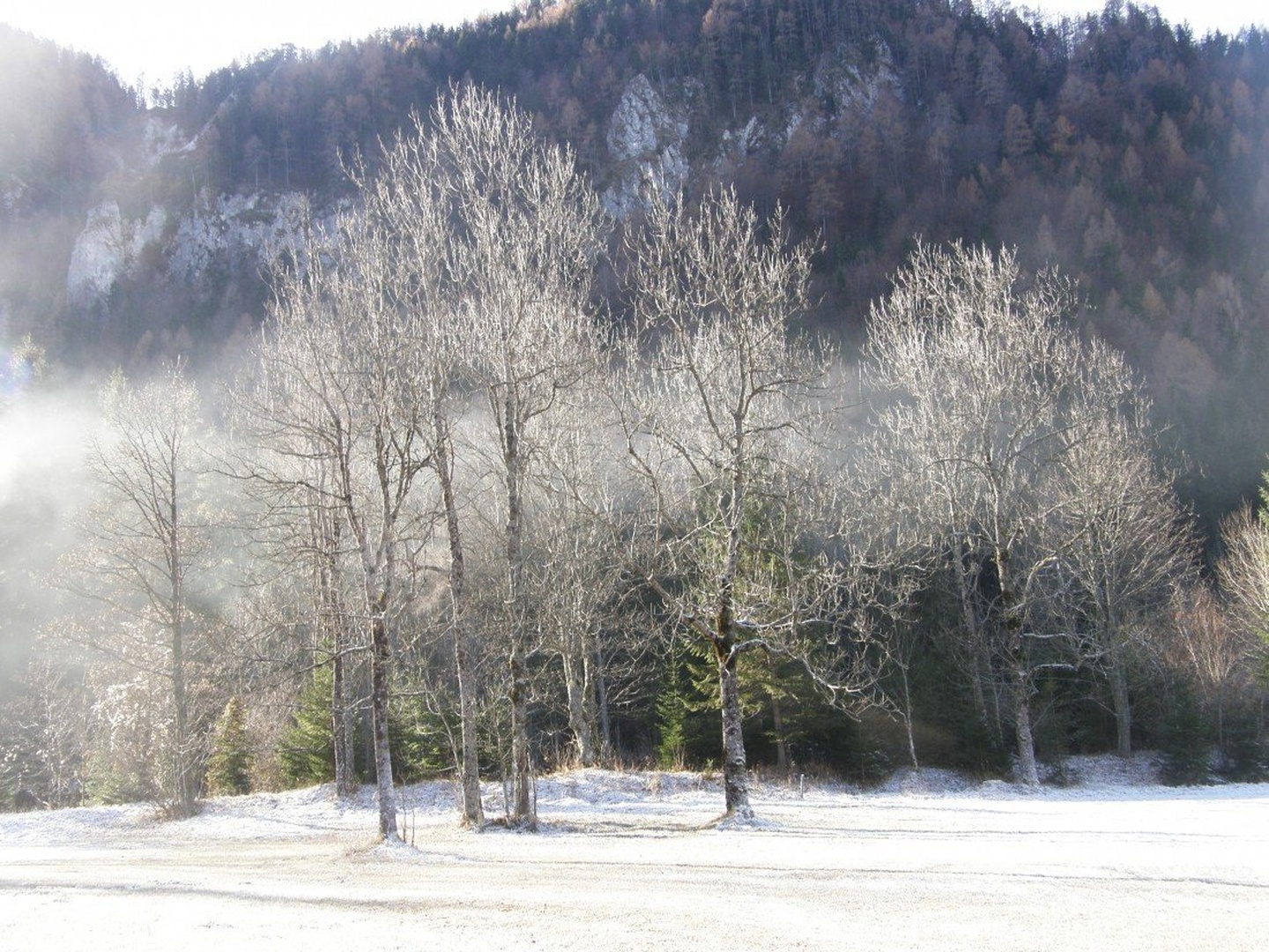Pozno jesenska idila by