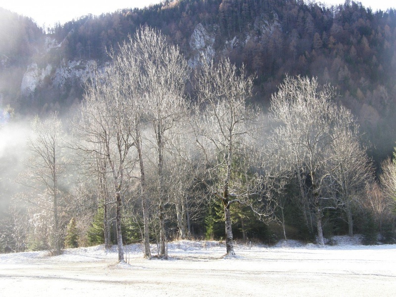 Pozno jesenska idila by karni