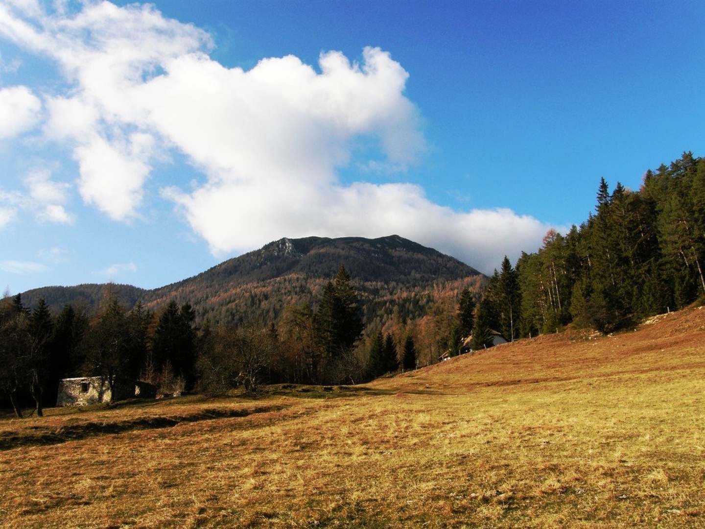 Peca by