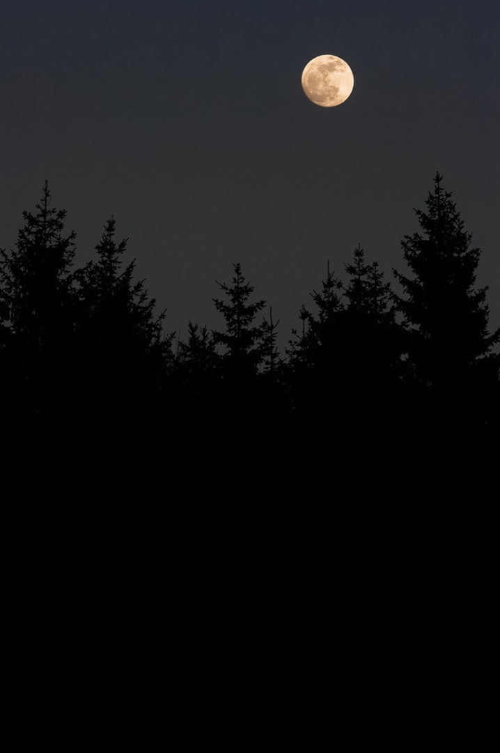 Polna luna je nocoj.. by