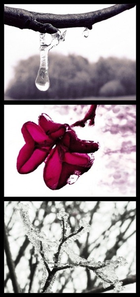 Winter Story by SuzieBlue_SI