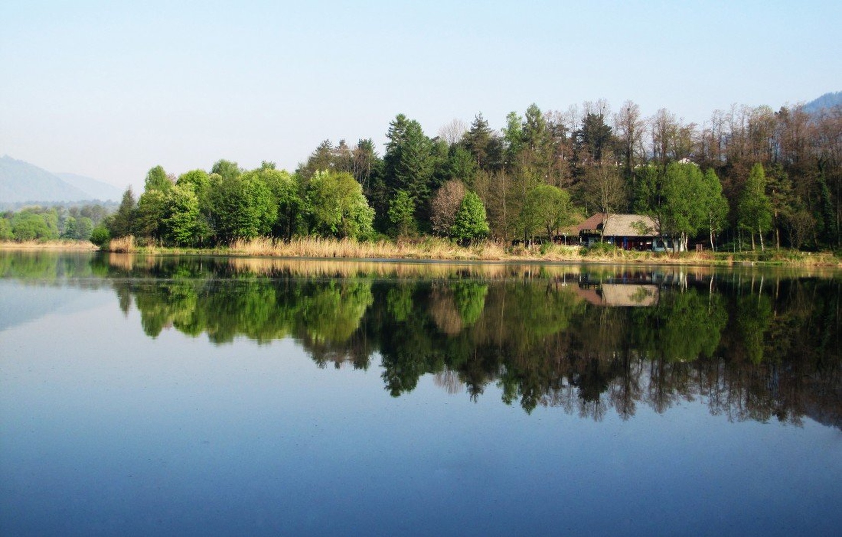 At the lake by