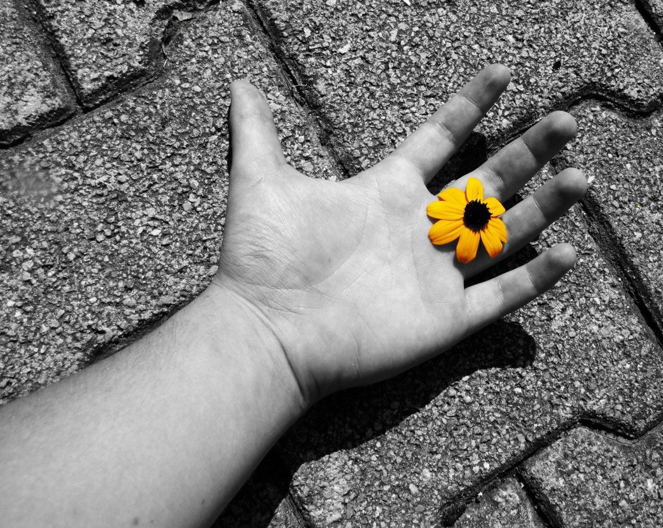 black/n/yellow by