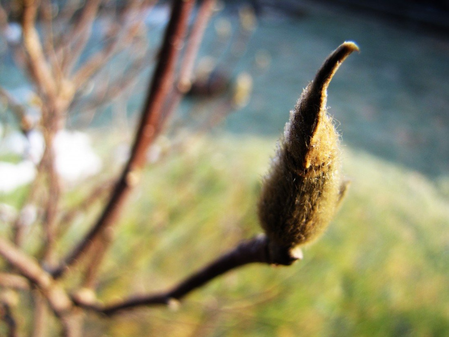 MACRO WORLD by