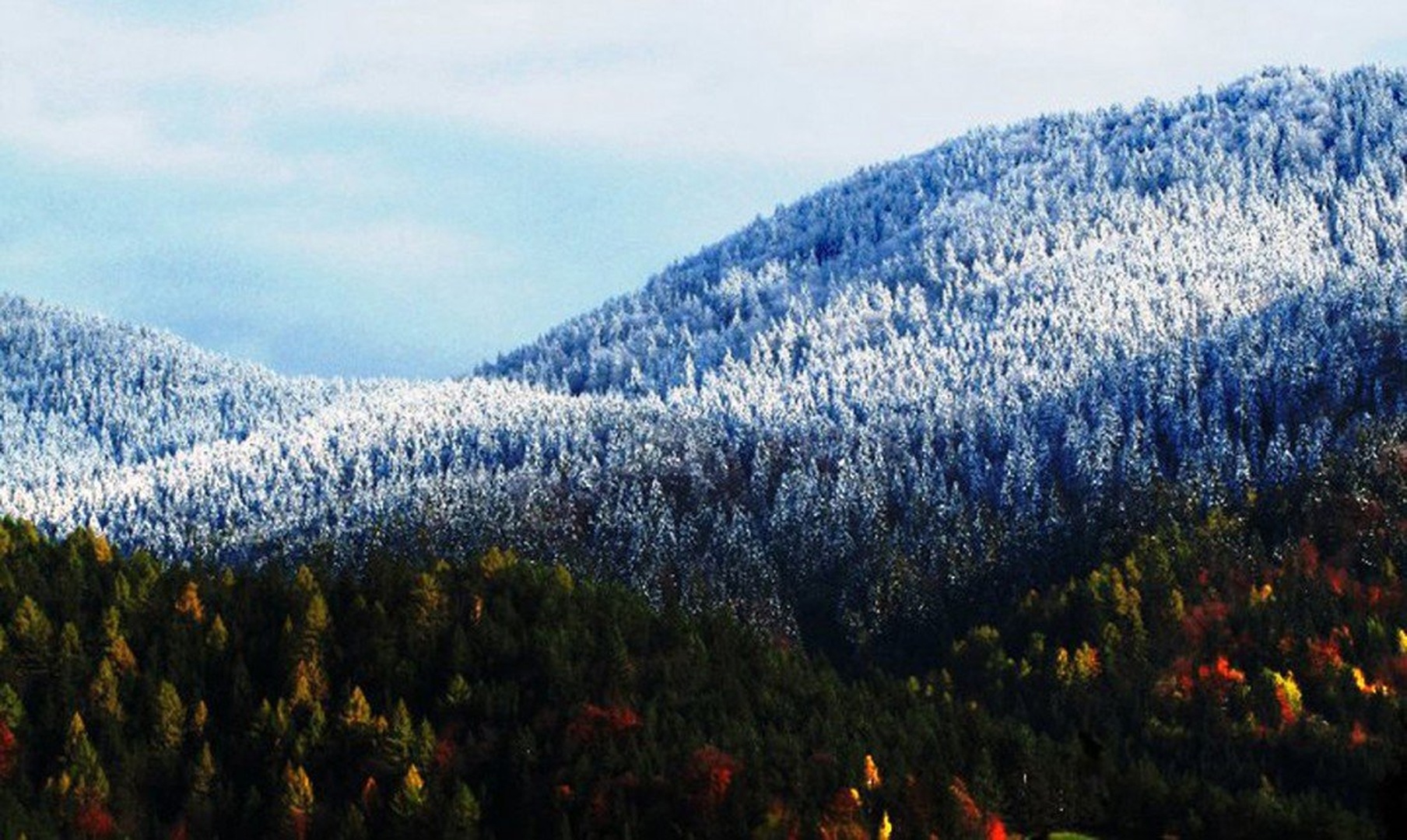 winters`s edge! by