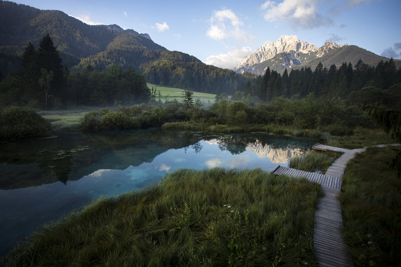 Zelenci by Žiga Kalan