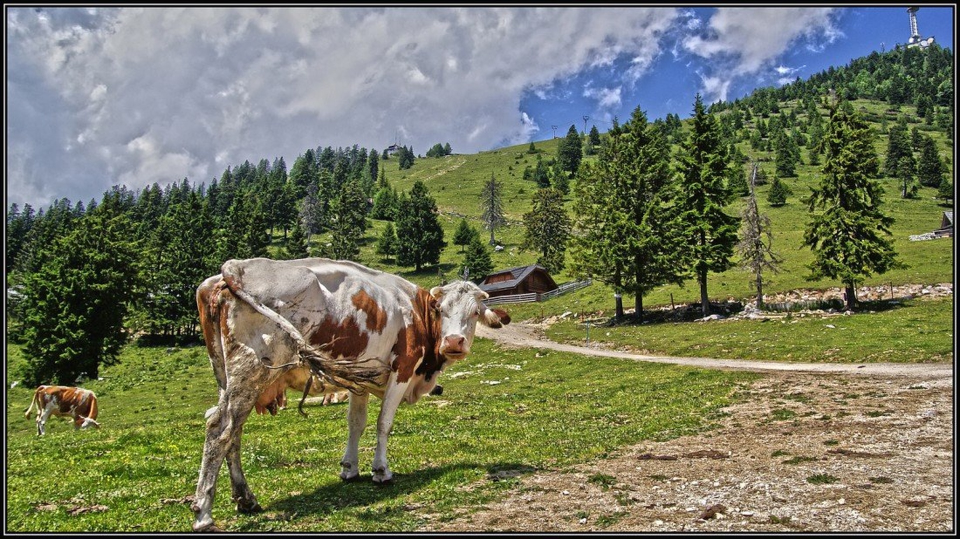 Pogled by Žiga Kalan