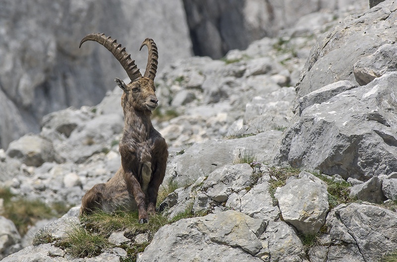 frajer by hepix