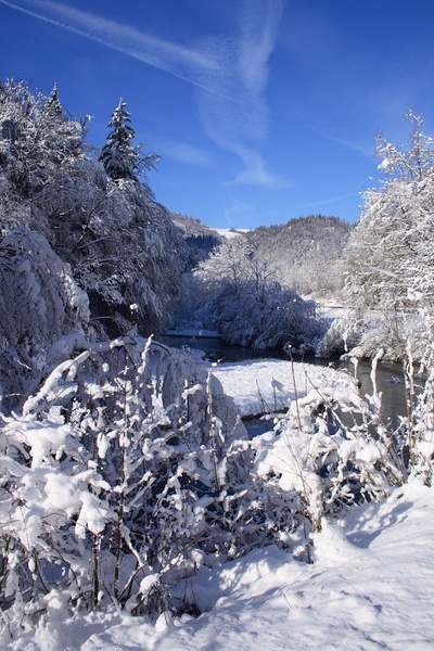 Selščica by Tomo