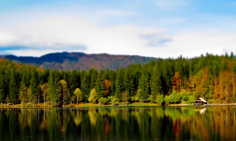 ... by Majmun