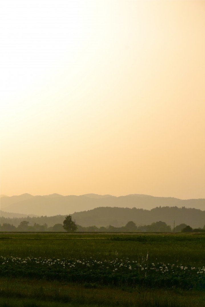 Sunset by