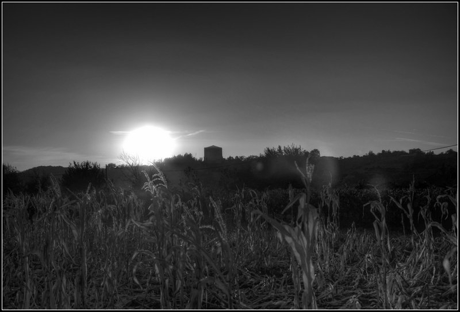 suša..in sonce... by Borut Močnik