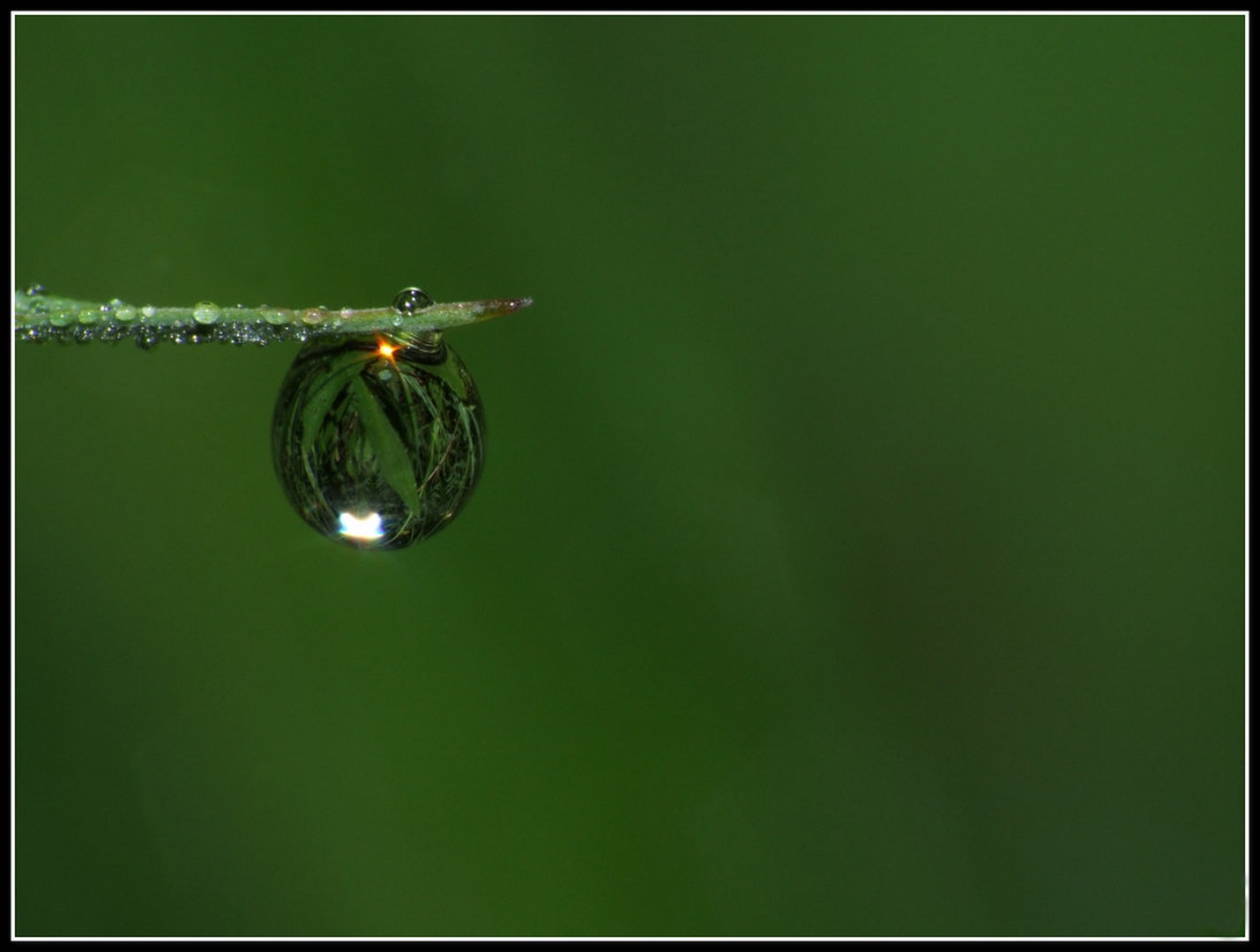 world in a drop by Borut Močnik