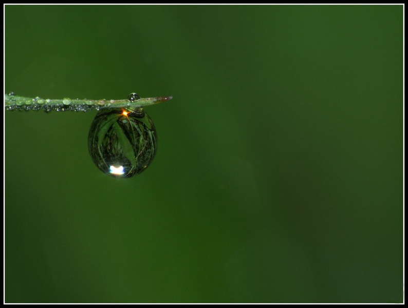 world in a drop by Borut Močnik