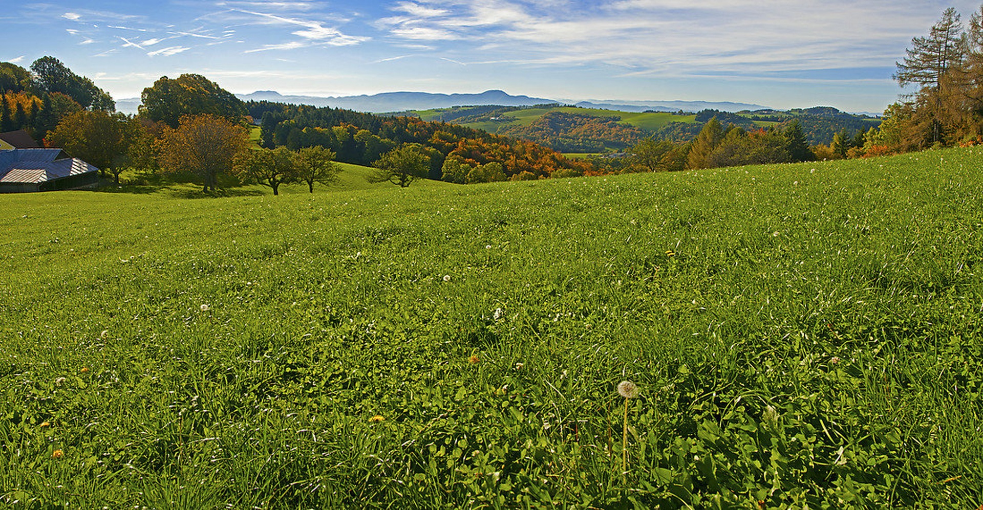 Rezgled s Pohorja by Matic Ačko