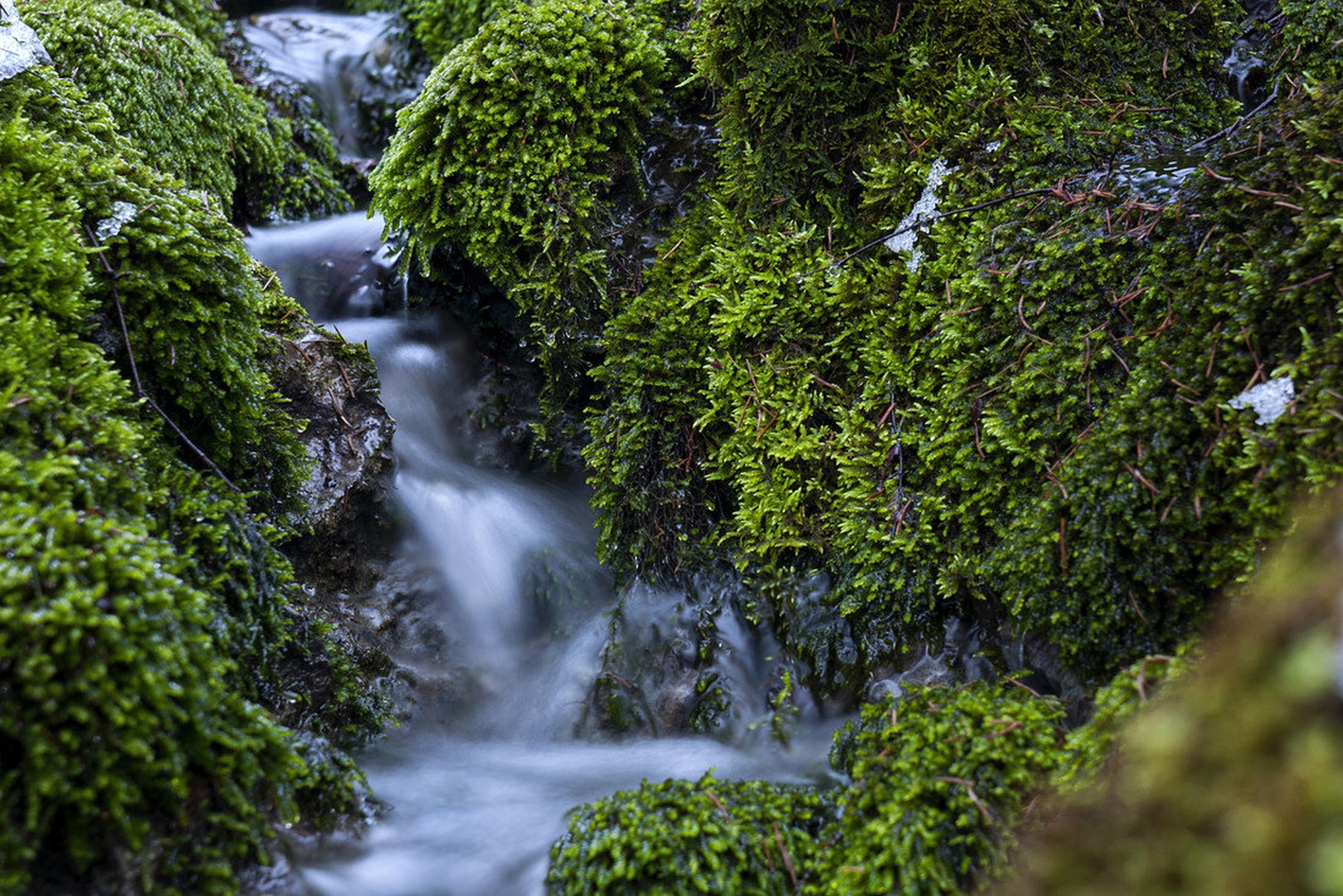 torrent by matijam7