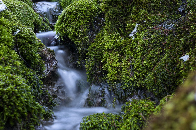 torrent by matijam7