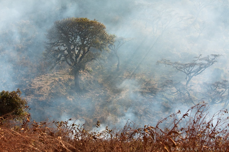 Serengeti on Fire by Marko Einfalt