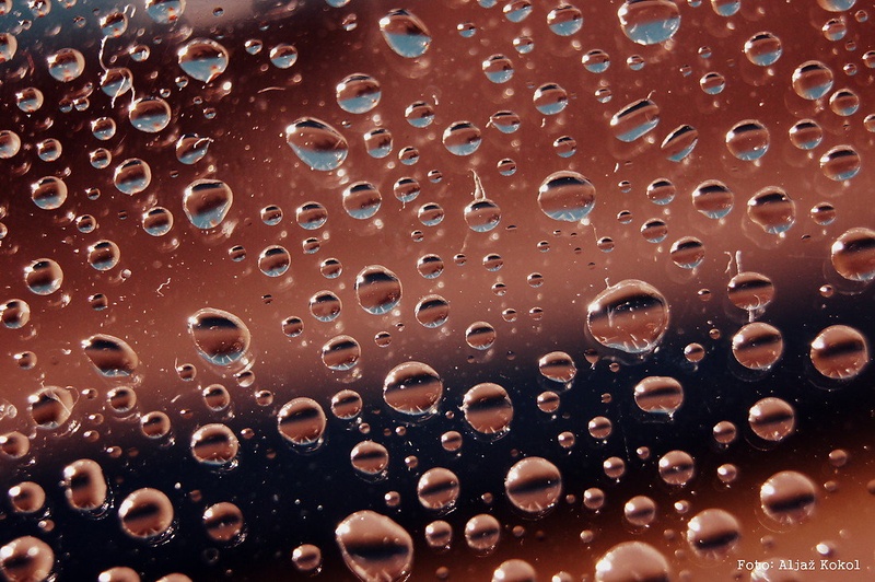 Water Droplets II by Aljaž Kokol