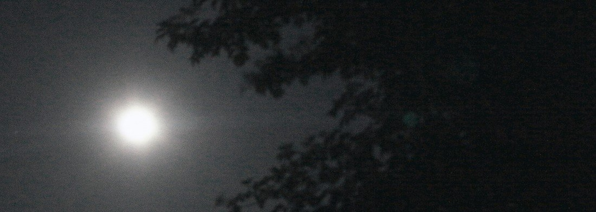 Ni sonce, luna je by Aljaž Kokol