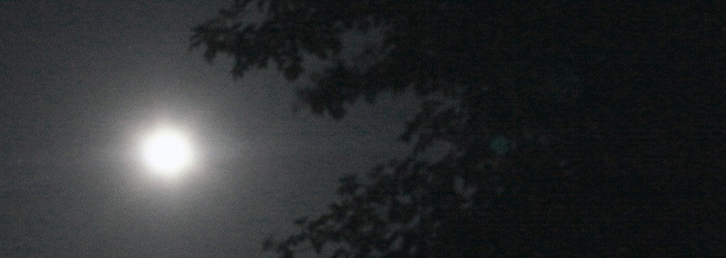 Ni sonce, luna je by Aljaž Kokol