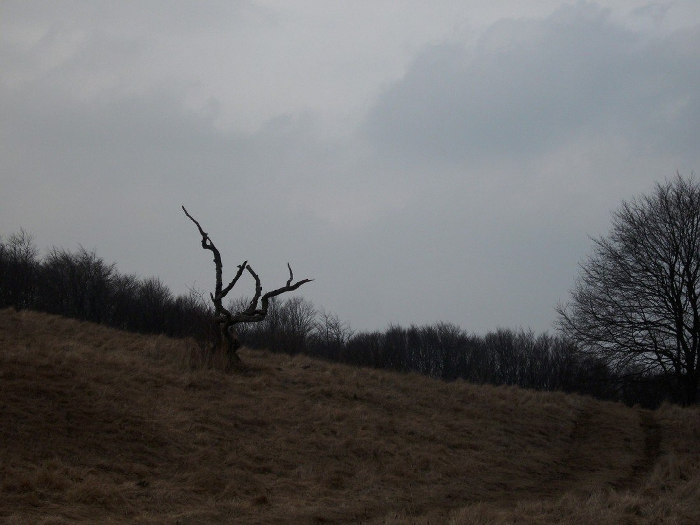 Vremscica by