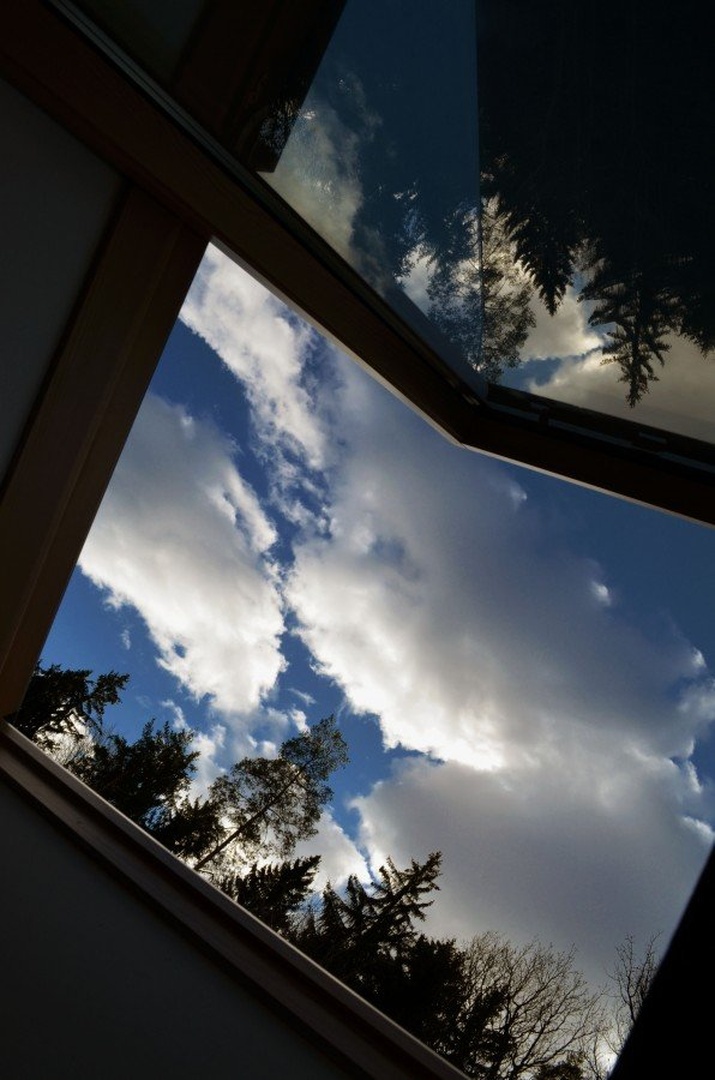 Window by Sasssh