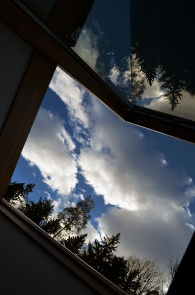 Window by Sasssh