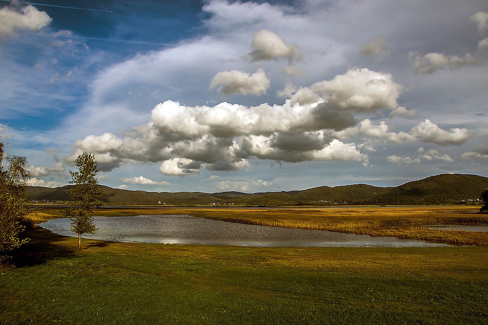 after the rain by Borut Zevnik