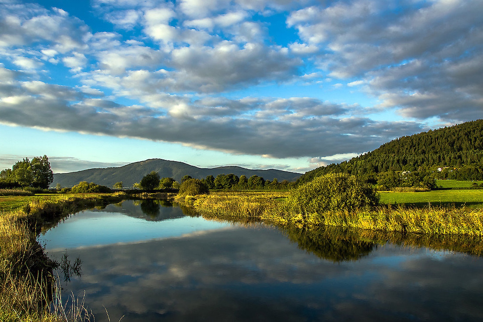 Slivnica by Borut Zevnik