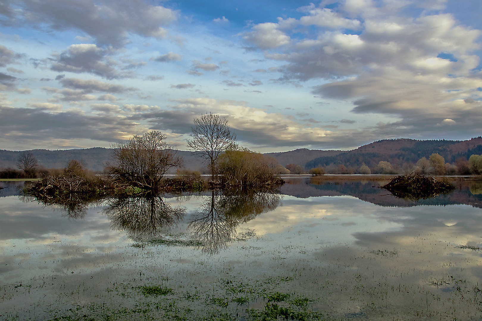 planinsko polje by Borut Zevnik