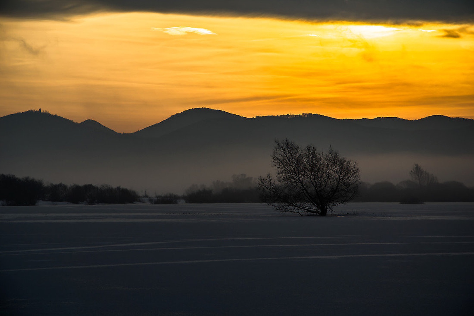 morning sun by Borut Zevnik